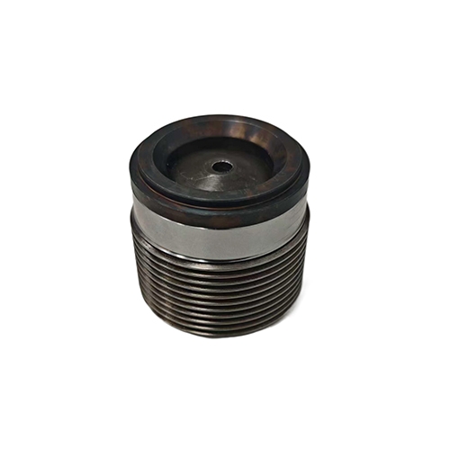 Bucher one way valve